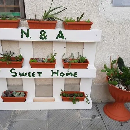 N. & A. Sweet * Lucca